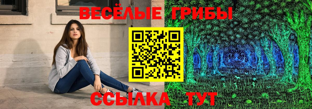 Новочеркасск  Галлюциногенные грибы GOLDEN TEACHER  Вход с VPN 